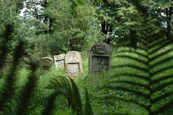 fot. Anna Węglarz fot. Anna Węglarz