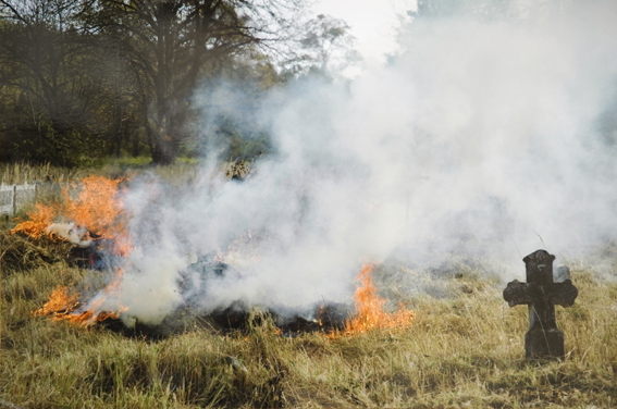 fot. Ryszard Węglarz fot. Ryszard Węglarz
