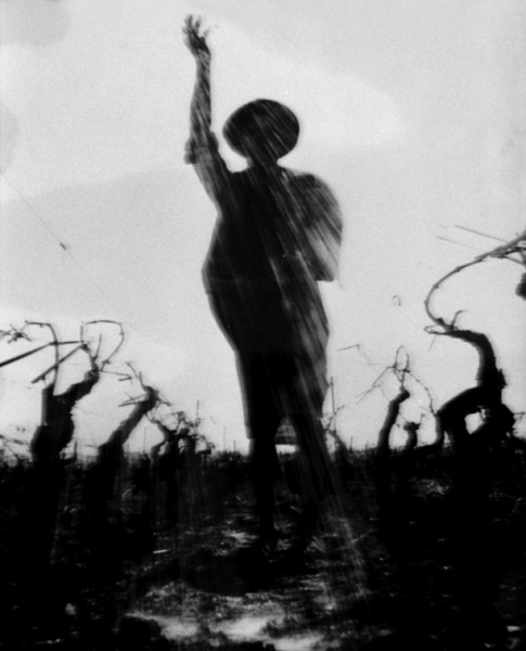 fot_Chile Louis Landron de Guevara