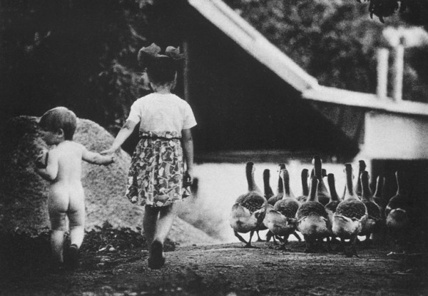 fot_Gregor Borysowski