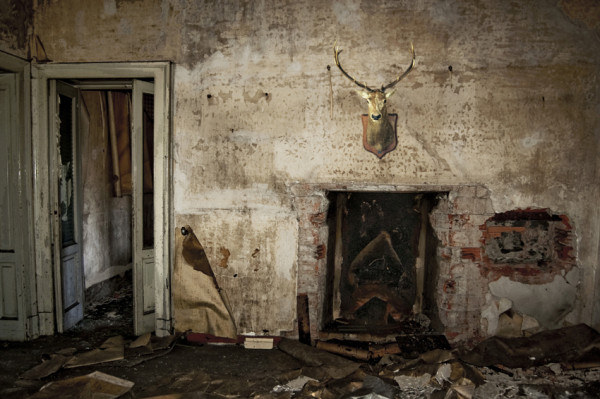 fot. Donatella Izzo, The last buck