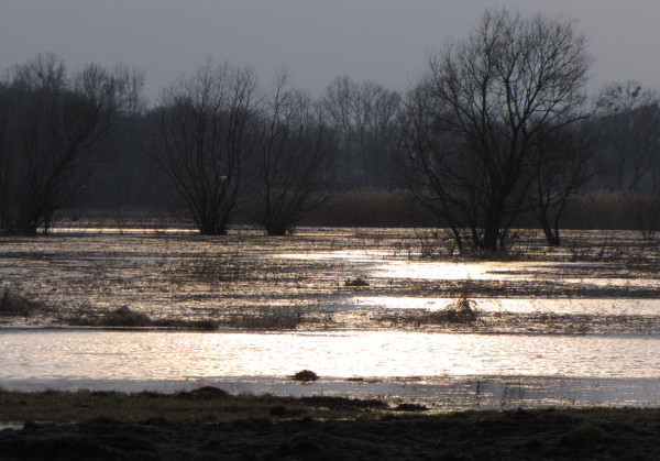 fot. Barbara Bokota-Tomala, "Podlaskie peregrynacje. W hołdzie Wiktorowi Wołkowowi", 70 x 100 cm, 2009 r.
