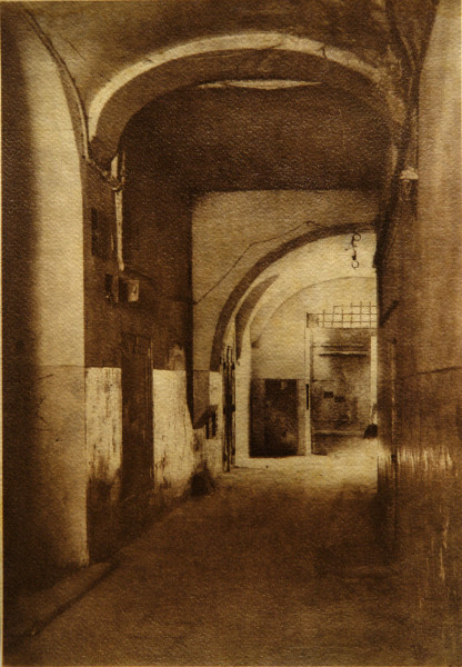 Brama 2 gumografia W.T