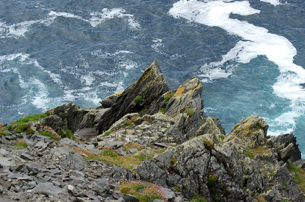 fot. Jerzy Kulpa, "U brzegu"