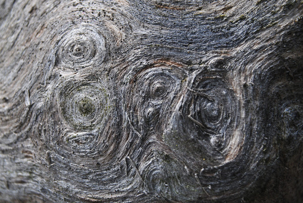 fot. Jan Wierzbicki, "Zawirowania"