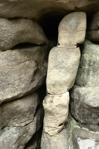 fot. Krzysztof Celuch