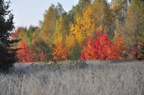 fot. Kazimierz Świeca, "pasiak podkarpacki"