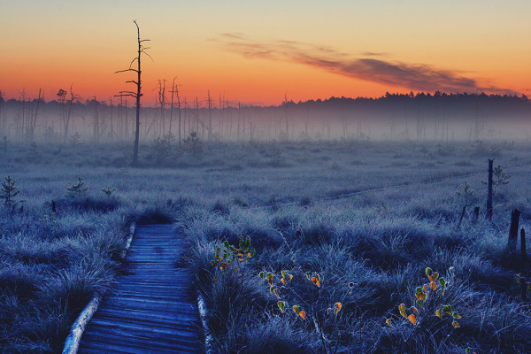 fot. Marian Rogowski, "O`bary"