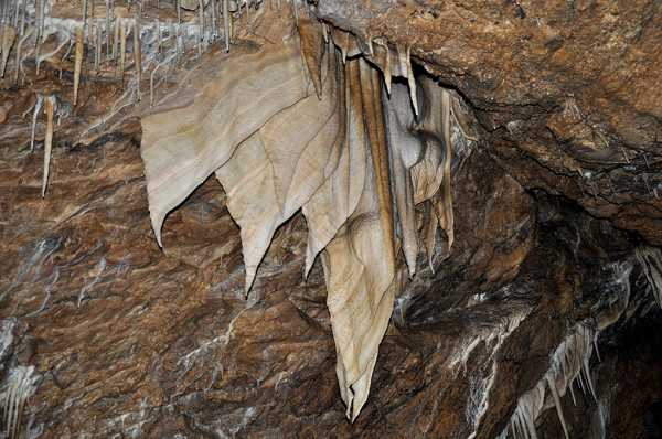 fot. Marta Wierzbicka, "Ukryte piekno odkryte"