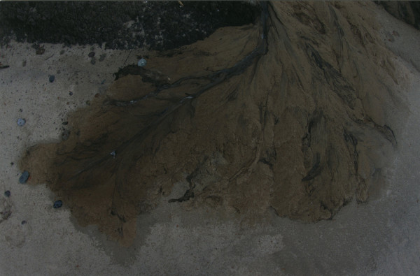 Irena Gałuszka - Rzeszów "Brązowy wiatr wypełza o świcie 1A".