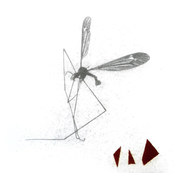 Janusz Wojewoda - Rzeszów "Geometria odnóży 3".