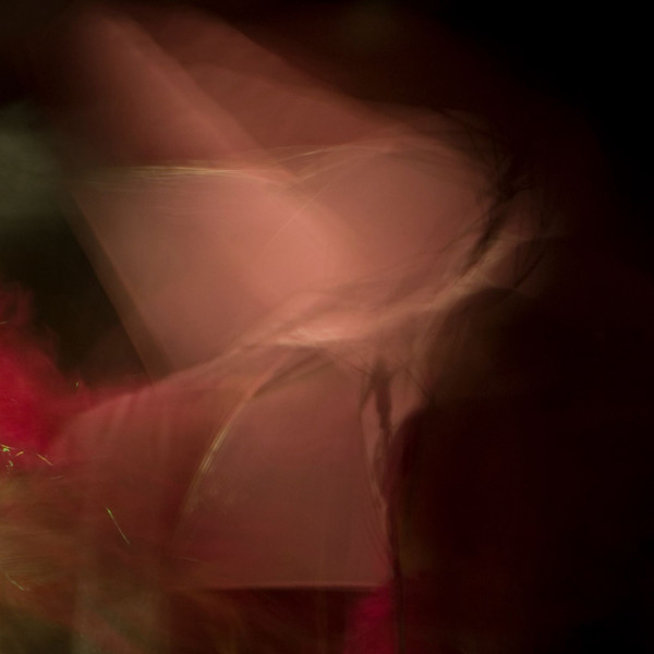 50128995_305014450359460_757672444793192448_n